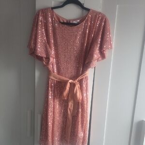 Elegant Sequin Pink Dress